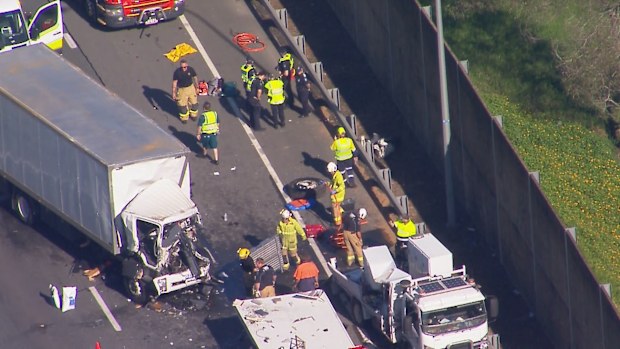 A multi-vehicle crash in Queensland has caused delays this morning after two trucks and a car collided on a busy motorway. 