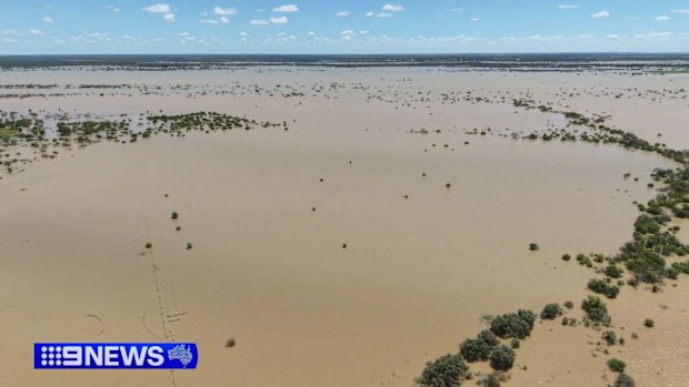 Heavy rainfall in Far North Queensland has sparked rescues for motorists stranded in floodwaters.Rescuers become life savers for the 65-year-old woman stuck on top of her car at Mossman, north-west of Cairns, about 6am today.