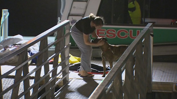 Couple and dog rescued after boat struck trouble in Hillary's, Perth.