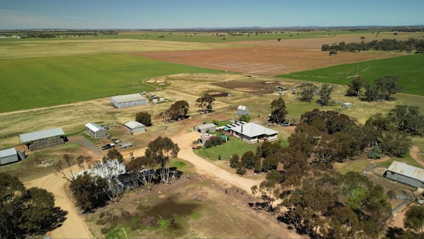 Minyip: Farmers fight to save 'food bowl' from mining takeover | Nine ...