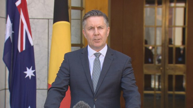 Minister for Health and Aged Care Mark Butler