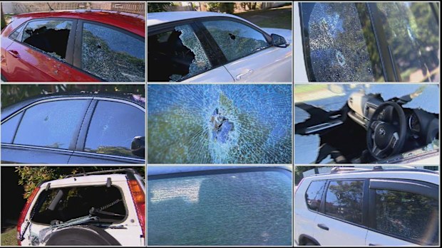 More than a dozens cars were targeted in the attack.