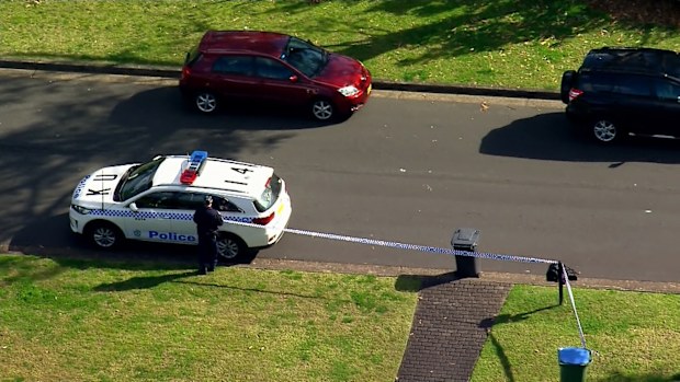 A man has died after suffering a medical episode while working on a tree in St Ives, on Sydney's upper north shore.