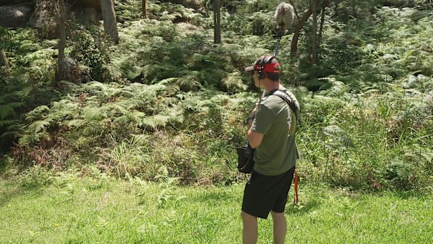 They're calling it cicada-geddon - and experts have called it "a phenomenal year" for the insect species.