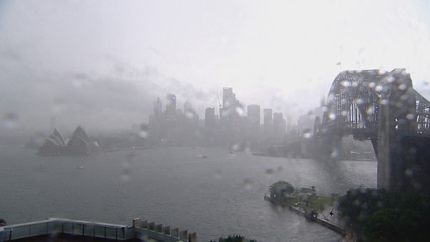 Sydney Harbour on Friday morning. 