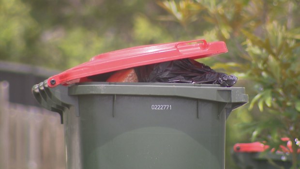 Almost 30,000 homes may not have their rubbish bins collected in Queensland as council waste workers go on strike.