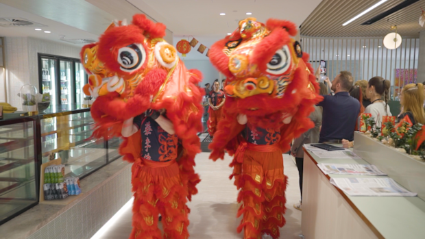 Lion dancers at Nine's Lunar New Year celebration
