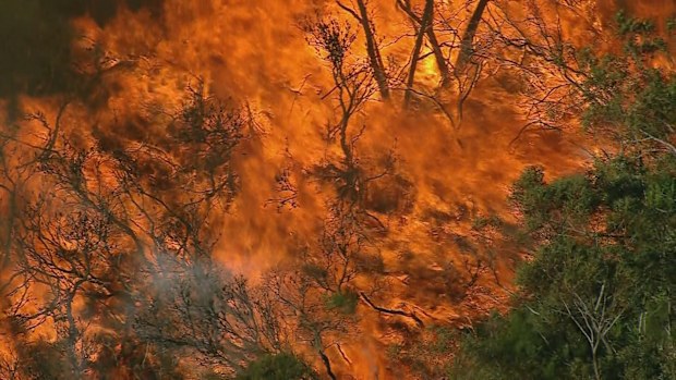 Bushfire Sydney's north