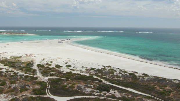 Windsurfer 'doing well' after shark attack north of Perth