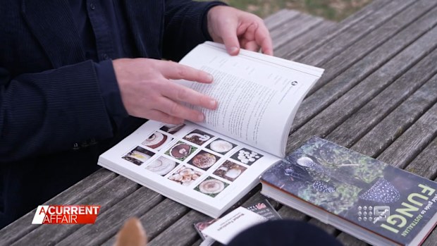 Across the country foragers are out in force as mushroom season begins, often using social media to help identify their finds.