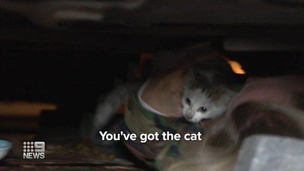 A kitten that had been stuck inside the engine bay of a car that travelled all the way from Lithgow to Sydney has been saved by police. 