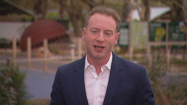 David Speirs has announced he will step down from being South Australia's opposition leader