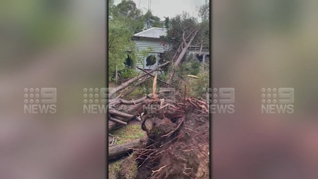 Victoria weather forecast: Tens of thousands without power in Victoria ...