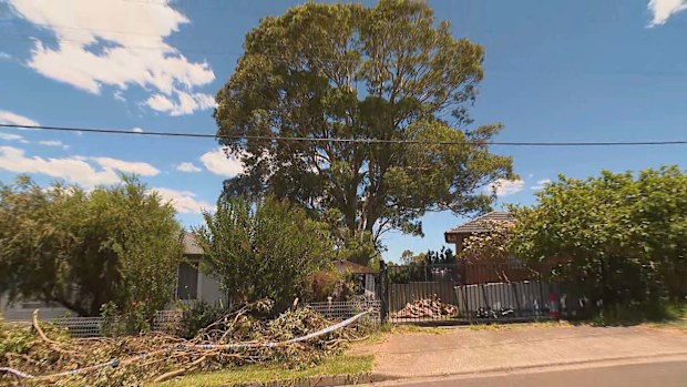 A man is behind bars accused of murdering his neighbour in a deadly end to what neighbours claim has been a long-running and bitter conflict.The pair allegedly squared off over a large gum tree that towers over their homes in Sydney.
CCTV appears to show Michael Wickham, 60, heading in towards the Dargie Street house in Mount Pritchard after steering his Suzuki into his neighbour's driveway.