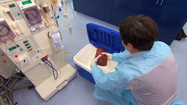 The new system to extend the life of organs is much like the way patients are treated in intensive care.