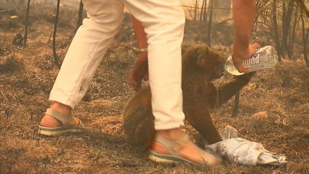 He was moved out of the flames and given water.