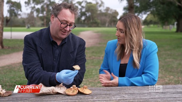 Across the country foragers are out in force as mushroom season begins, often using social media to help identify their finds.