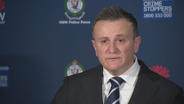 Police will allege Anya Phan is one of the heads of the Penthouse Syndicate.