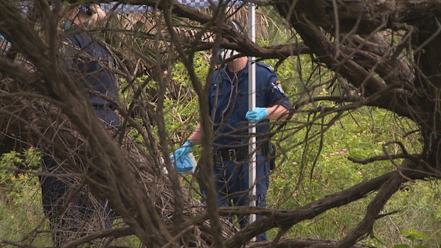 Woman's body found wrapped in plastic and dumped in bushland near Sydney airport