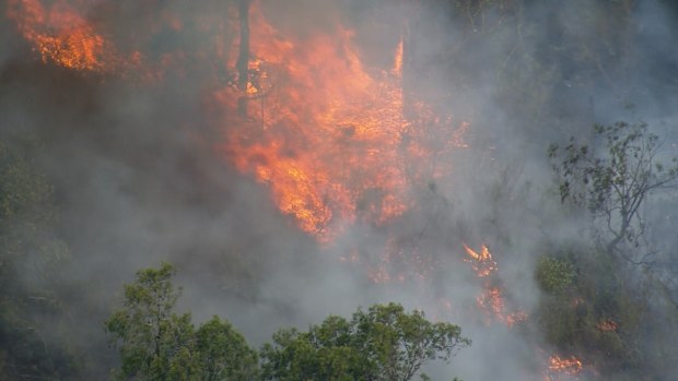 Firefighters are working to extinguish a bushfire that is believed to be threatening homes in Sydney's south west at The Oaks