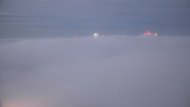 Sydney fog