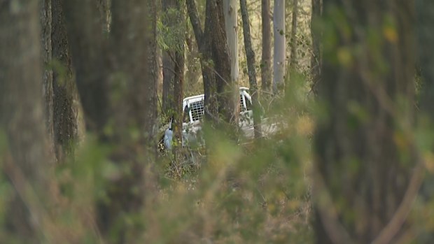 nissan nivara sydney richmond alleged hit and run death