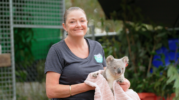 Queensland Koala Society, Angela Christodoulou, My Way 2025, My Way