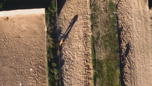A shocking drone video shows a man allegedly kicking, punching and dragging greyhounds while the dogs cower and try to run away on a property near Murray Bridge in Adelaide's southeast.