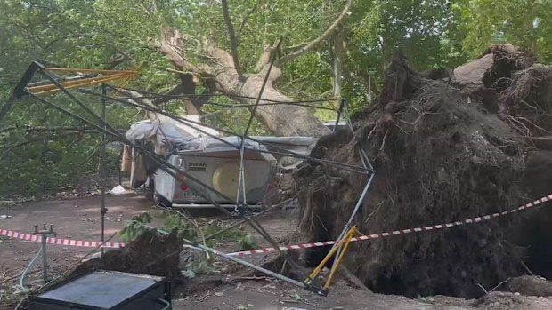 The pair escaped unhurt but they were shocked and their family still shaken. 
