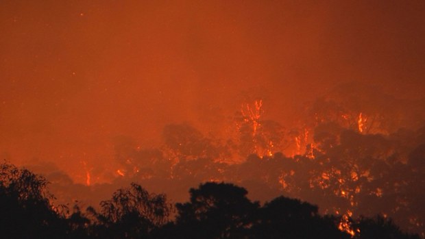 Fierce flames tear through grassland in Melbourne's east