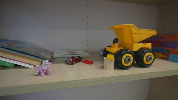 South Australian domestic violence crisis services are under pressure.