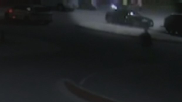 Police have fatally shot a dog after two dachshunds were attacked during an arrest at a beach north-west of Perth.
