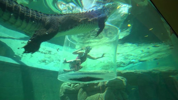 Lauren Phillips Crocosaurus Cove Getaway