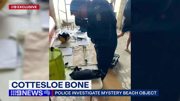 The discovery of a mysterious bone, which had washed up at Cottesloe Beach in Western Australia, has sparked an investigation.