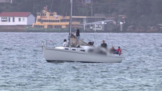A man killed in a collision of yachts on Sydney Harbour yesterday evening was a crew member involved in a race, the Cruising Yacht Club of Australia says.