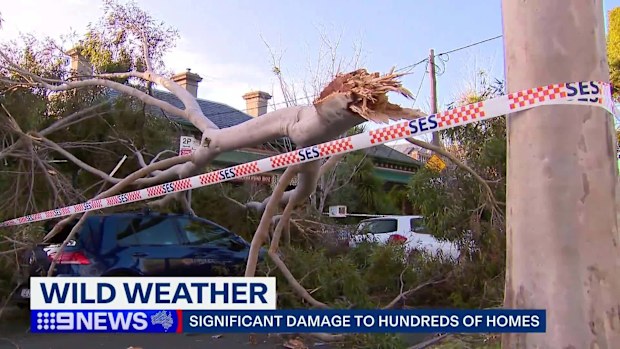 Melbourne weather update: Victoria faces huge clean up after wild winds ...