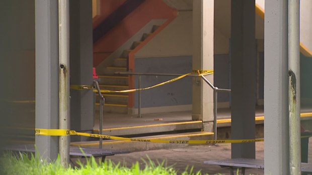 Radioactive rock found at Randwick Girls High School in Sydney.