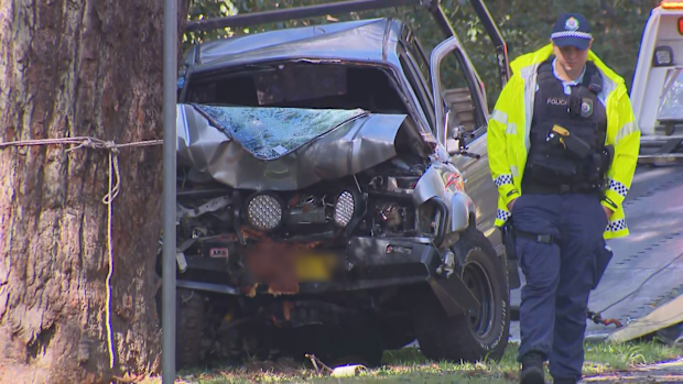 One teenager has died and another five have been injured after their ute slammed into a tree in Bayview on Sydney's northern beaches.