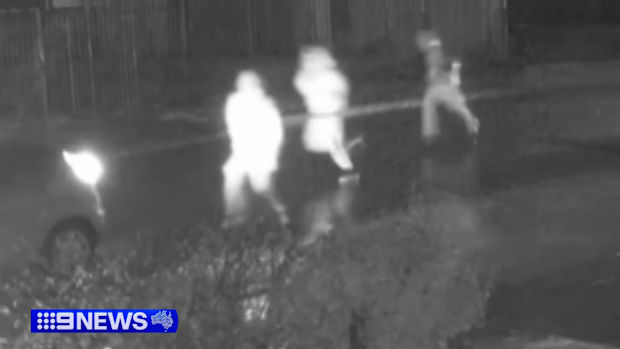 South Australia set to crack down on street gangs with tough new laws ...