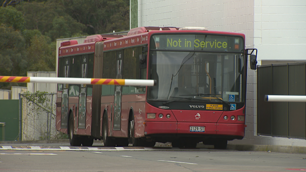 Bendy Buses