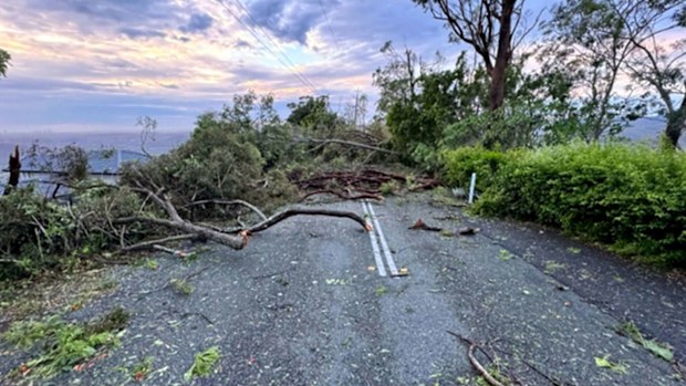 Tornado-like winds ripped out trees and knocked down power lines in south-east Queensland