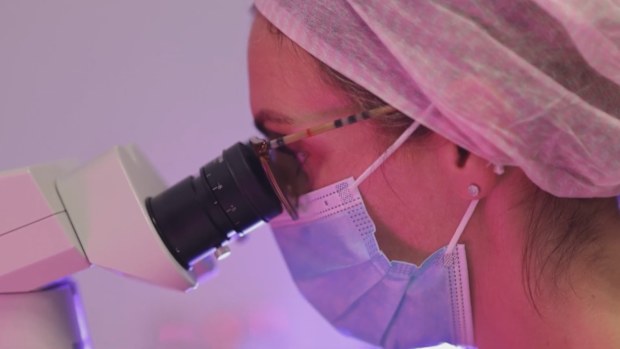 Major Australian IVF provider Genea is "urgently investigating" a cyber incident after an "unauthorised third party" accessed data held by the clinic. A spokesperson for the fertility service provider said "suspicious activity" was identified on its network and "immediate steps" were taken to secure their systems.
