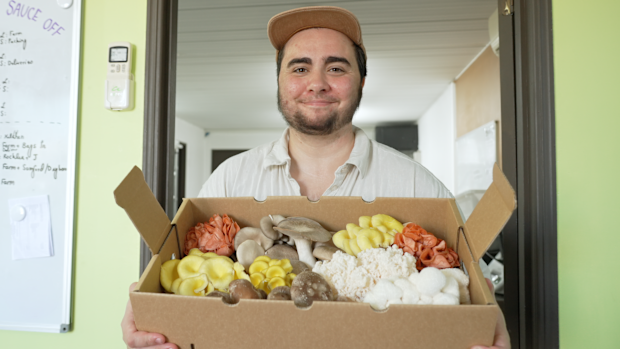 My Way 2024, Good Growin' Mushrooms, Sof Kubler