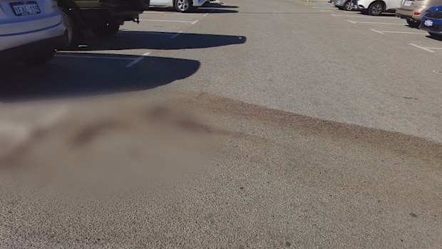 Police have fatally shot a dog after two dachshunds were attacked during an arrest at a beach north-west of Perth.
