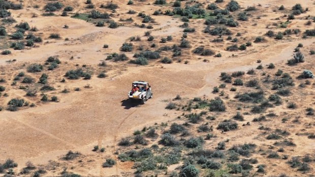Police search for missing four-year-old Gus in outback SA