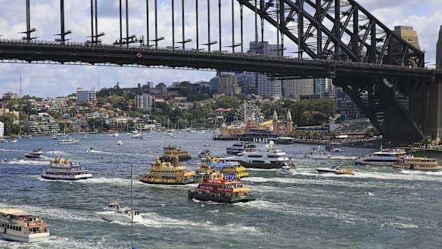 Australia Day 2024 ferry race 
