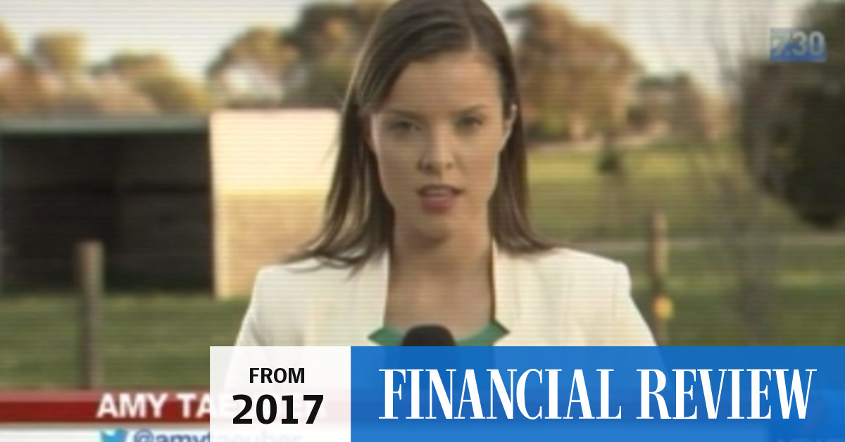 Seven denies 'payback' as email links Amy Taeuber investigation to ...