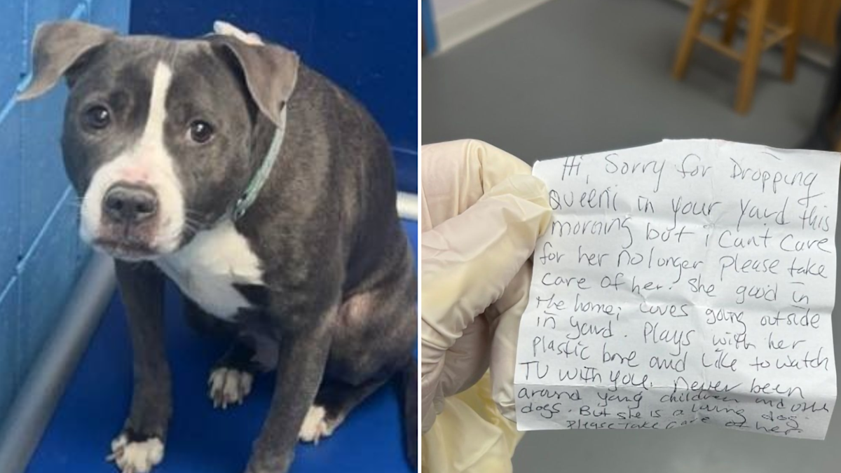 Handwritten note attached to abandoned dog breaks shelter workers ...