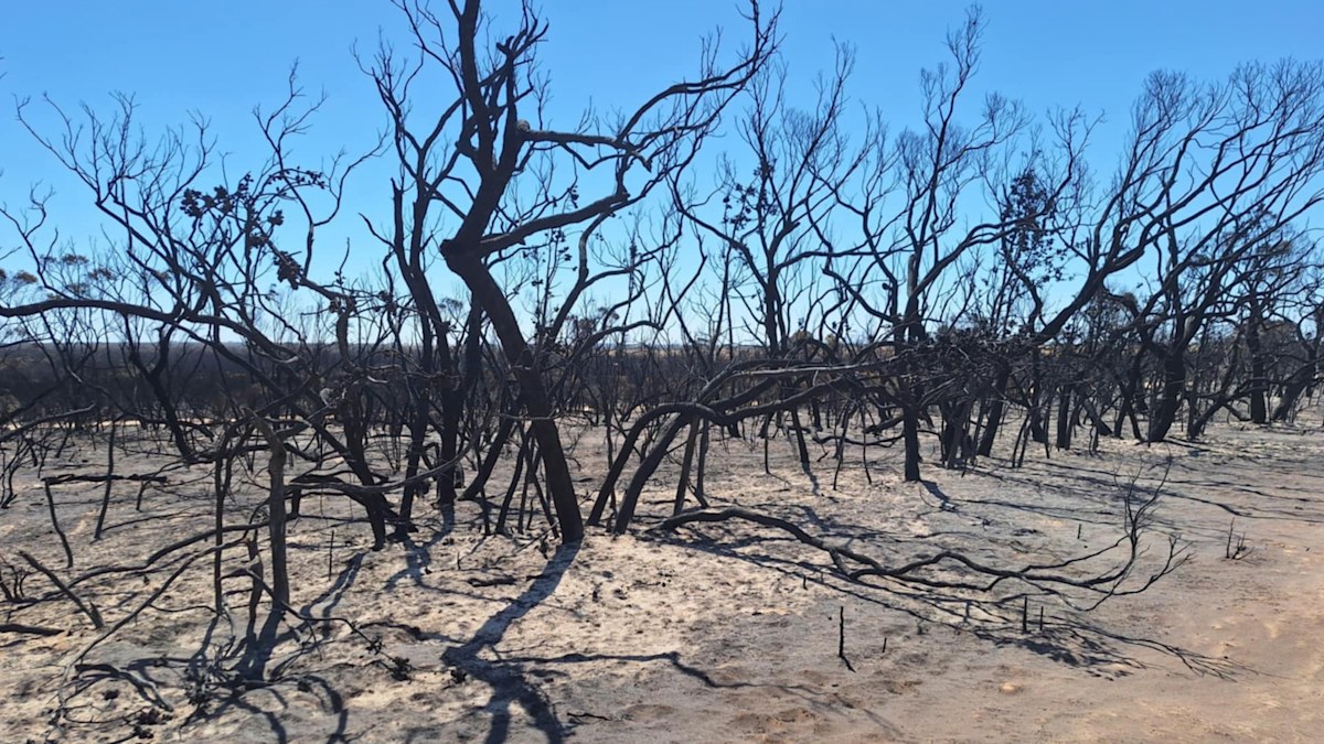 Victoria bushfires update: Residents urged to be 'ready to act' as ...