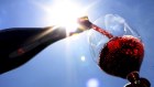 Chinese tourists are increasingly interested in wine.